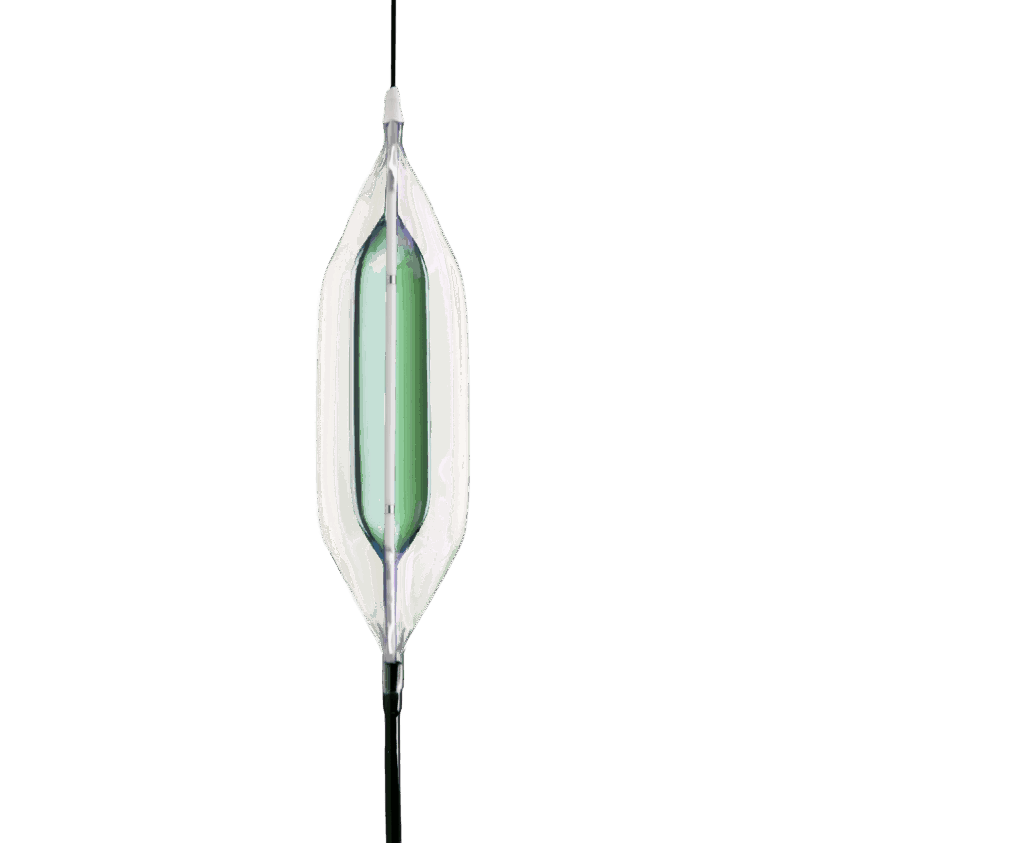 altosa® XL Gemini Balloon Catheter